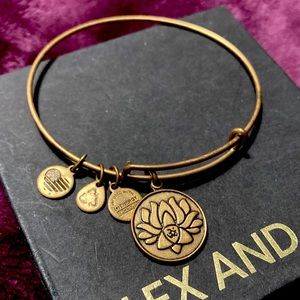 Alex and ani bracelet